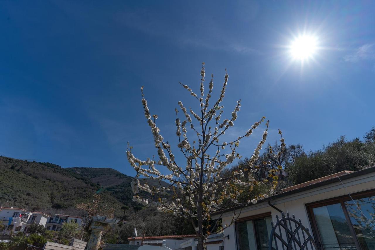 Villa Salvatorosa Vico Equense Exteriér fotografie